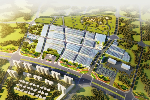 金华金东：打响“中国苗木之乡”金字招牌